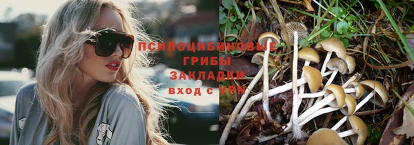 PSILOCYBIN Саяногорск