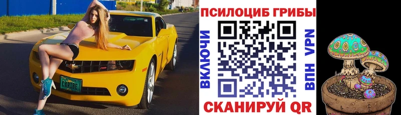 Псилоцибиновые грибы Magic Shrooms  Удачный 